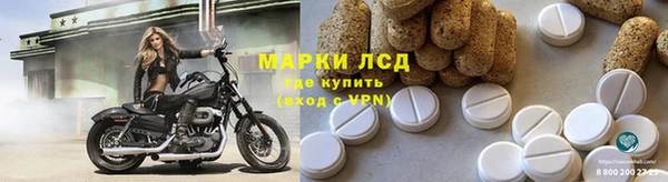 СК Алексин