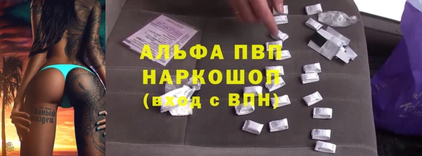 крисы Алзамай