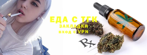 СК Алексин