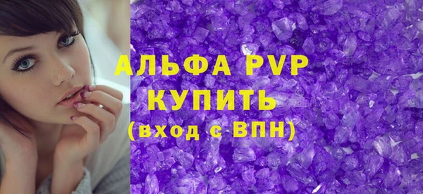 СК Алексин