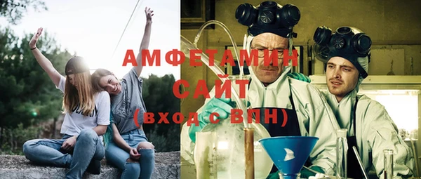 СК Алексин