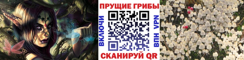 Псилоцибиновые грибы ЛСД  Рошаль 